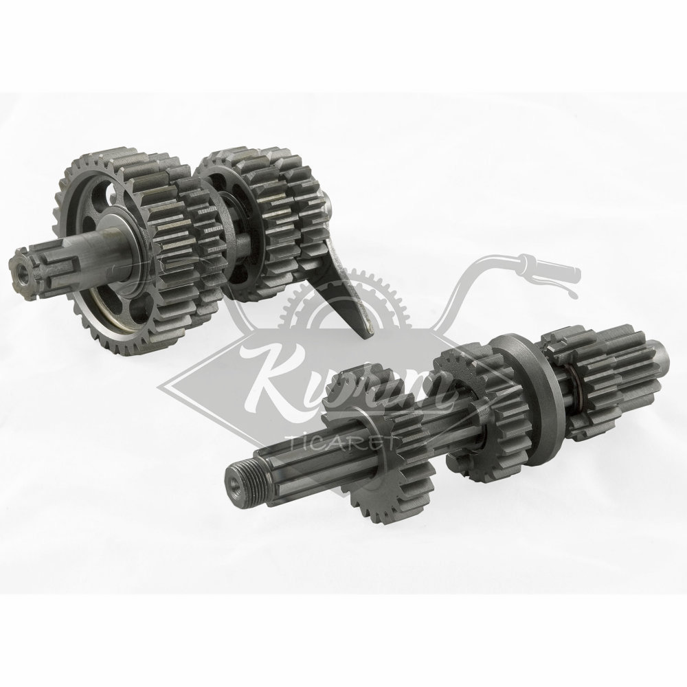 ŞANZIMAN KOMPLE FT-110cc LİFAN - CUB