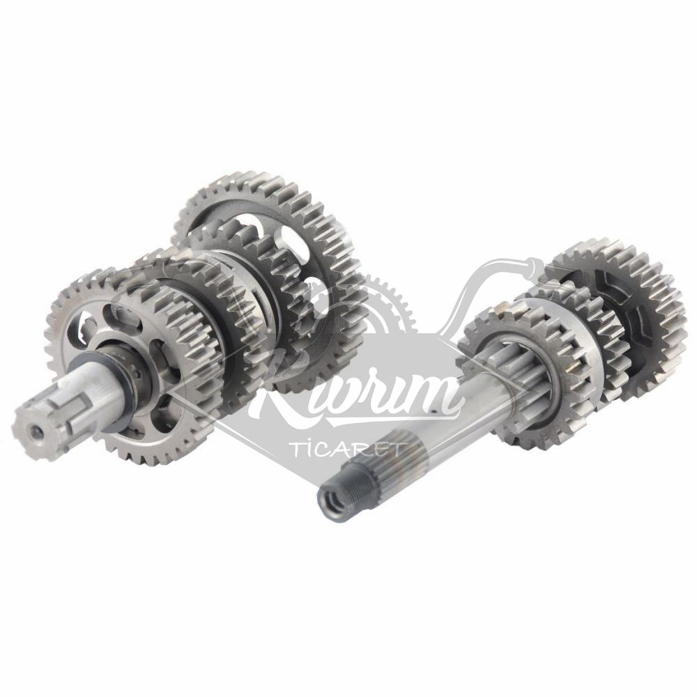 ŞANZIMAN KOMPLE CBF 150 [E.M]