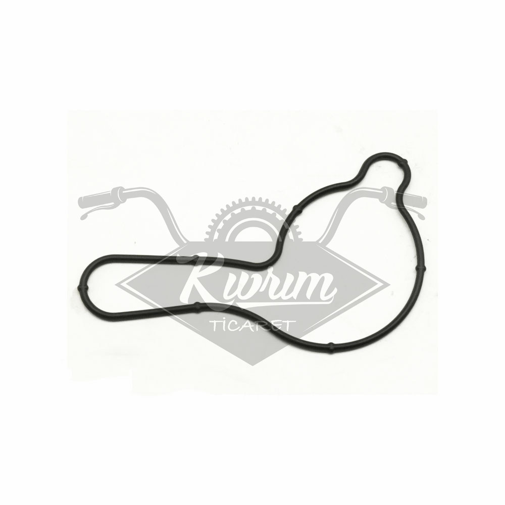 DEVİRDAİM O RİNGİ [2021-2022] [ORİJİNAL] YAMAHA N MAX 155 [B6H-E2439-00]