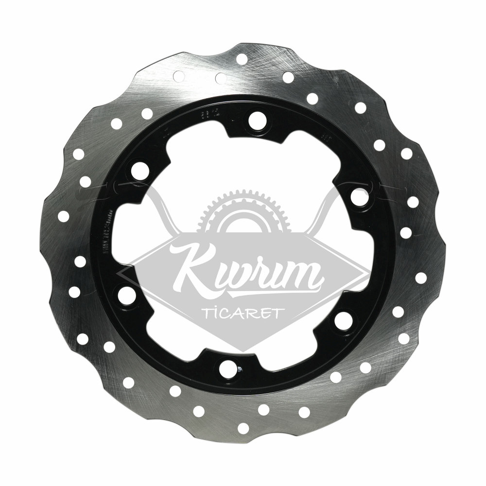ÖN FREN DİSKİ - TVS RAIDER 125 [ORİJİNAL]-[N5111510]