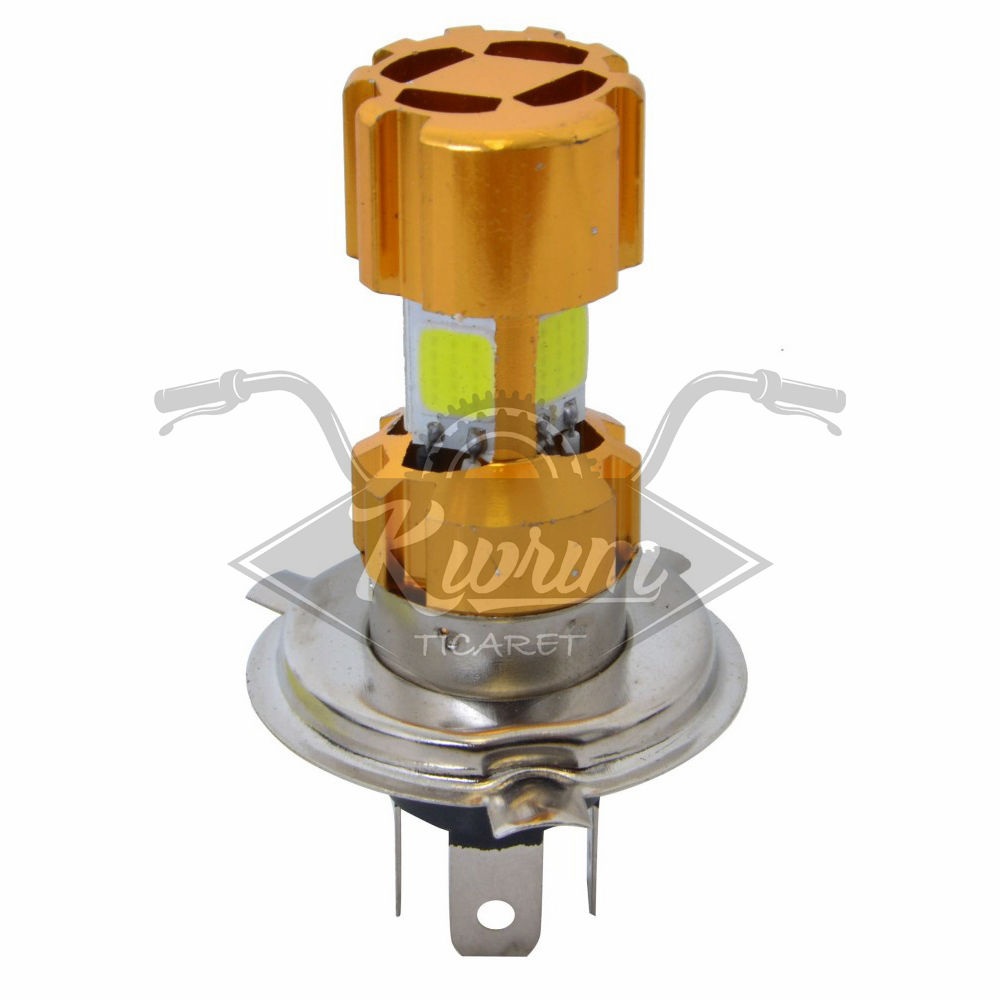 ITEM-1 H 4 TİPİ [4COB H/L 12/24W] KISA-UZUN HUZMELİ LED AMPUL - BELGELİ