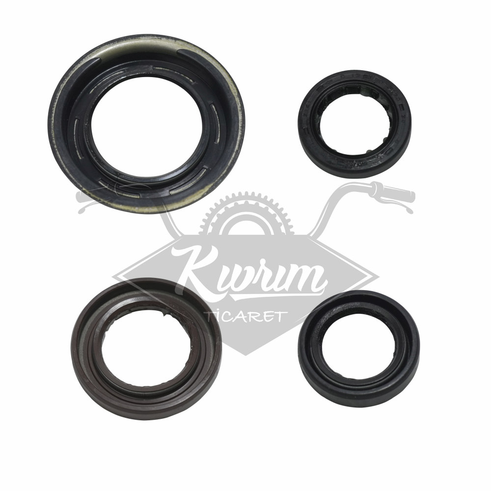 KEÇE TAKIMI [4 LÜ SET] [ORİJİNAL] - TVS JUPITER 125